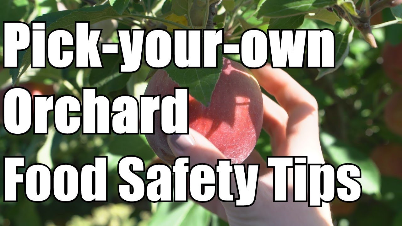 Pick-your-own orchard food safety tips