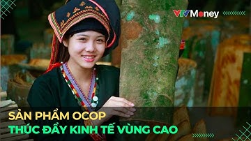 Sản phẩm OCOP thúc đẩy kinh tế vùng cao | VTVMoney