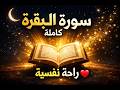 استمع الآن سورة البقرة كاملة بصوت خاشع يهز القلوب بركة وطمأنينة لا مثيل لها