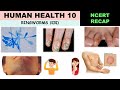 Human Health NCERT 10 | Ringworms | Epidermophyton | Trichophyton | Microsporum | Dry Scaly lesions