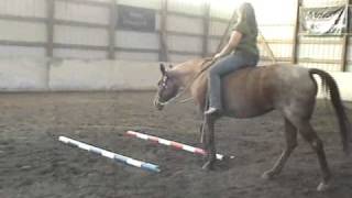 20100918220912.wmv