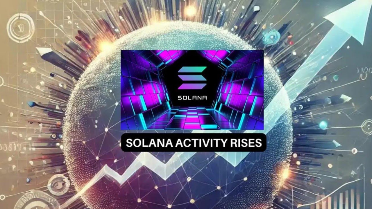 Solana's Explosive Comeback: The Fastest Horse in the 2024 Bull Run ...