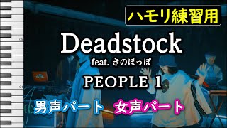 Deadstock feat. きのぽっぽ / PEOPLE 1(ハモリ練習用) Synthesizer V 夏色花梨 AI,Ryo AI 歌詞付き音程バー有り