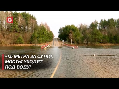 Днепр топит мосты! Сильный подъём воды в реке: как справляются жители?