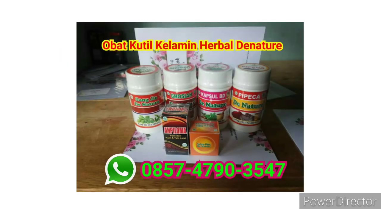 Nama Dan  Harga  Obat  Kutil Kelamin Di  Apotik  Umum YouTube