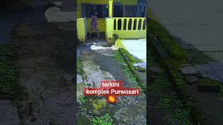 Anyar Massze  Lok4lisas1 Purwosari