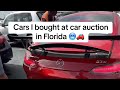 Buying Clapped out cars at the auction😂🤑 Miami car dealer life🚗