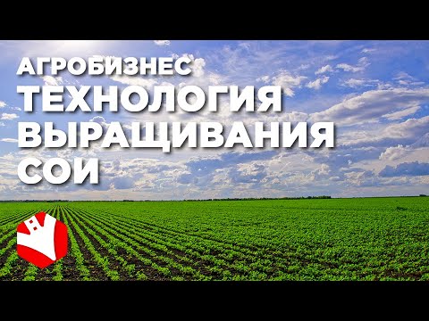 Видео: Каковы условия производства сои?