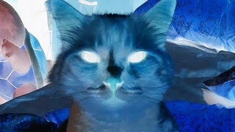 Bootleg NL: Unity Mario Maker 2 (7/2/2019)