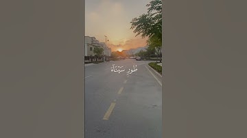 اكتب شيء تؤجر عليه | سورة المؤمنون الآية 20 القارئ محمد اللحيدان