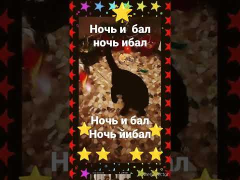 ночь и бал год. ночи бал слушать. поручик ржевский ночь и бал. анекдоты про поручика ржевского. поручик ржевский ночь и бал.