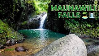 Calming Sounds of Maunawili Falls | Peaceful Waterfall Ambience in Hawaii