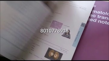 Marrow Handwritten Notes 2020