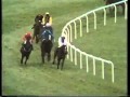 Monksfield the 1978 champion hurdle cheltenham