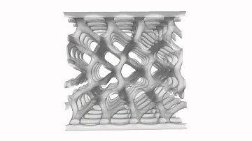 Blue Phase disclination field - primary flow