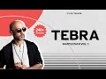 TEBRA Sample Pack Vol. 1 (Signature Sounds) | Organic House / Deep House