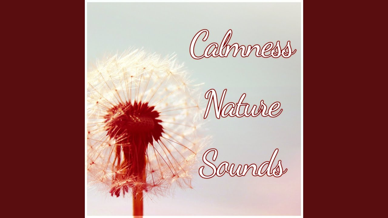 Aromatherapy & Music Therapy YouTube