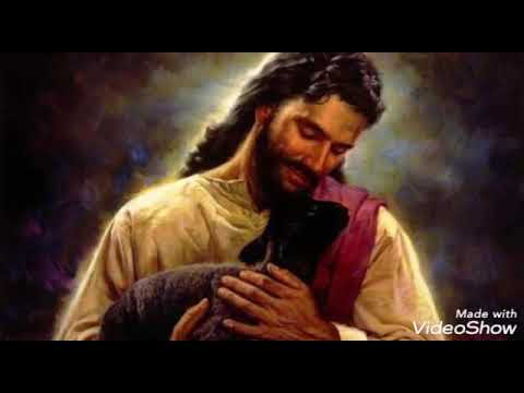 أنا الخروف الضال