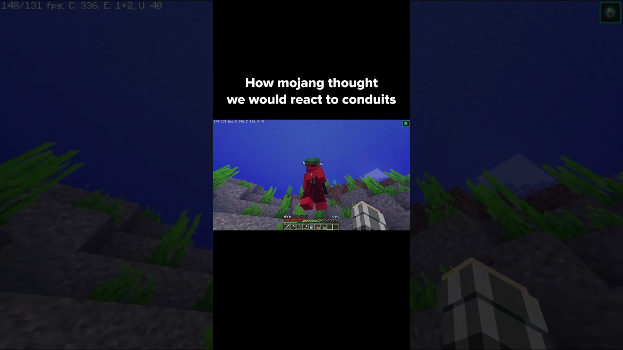 Minecraft Conduit Moment
