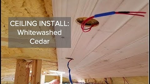 Skoolie Conversion: Cedar Ceiling Install