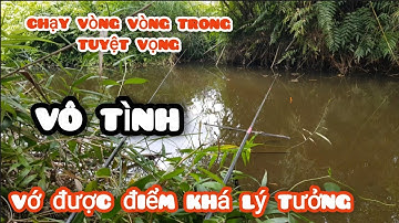 Theo lịch trình con nước ngày nước kém cá vồn xuống vũng sâu 2/7/2025