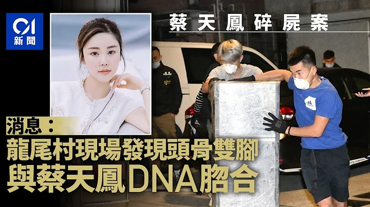 蔡天凤碎尸案｜大埔龙尾村发现头颅双脚　消息：与Abby DNA脗合｜01新闻｜突发｜Abby｜AbbyChoi｜名媛 - 天天要闻