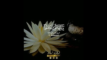 🌼إن الله وملائكته يصلون على النبي 🌼 سورة الأحزاب:٥٦|الشيخ علي جابر|Surah Al Ahzaab:56|Ali Jaber