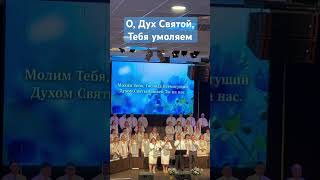 О, Дух Святой, Тебя умоляем. #христианство #slavicchurch #христианскиепесни #christiansongs