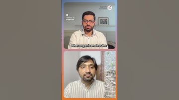 What is Coral Bleaching? Expert Explains