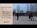 Au secours mon cheval est mou sur le cercle ou  la longe 