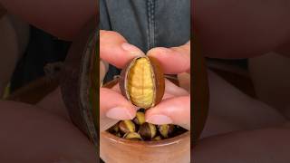 Airfryerda 9 Dk Kestane Kebap🌰Çiz, At Şipşak Hazır