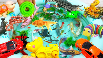 Động vật dễ thương,chim cánh cụt,bạch tuộc,cá sấu,cá chép,cá heo,cá mập,cá voi,ếch,sứa,cánhỏ,thằnlằn