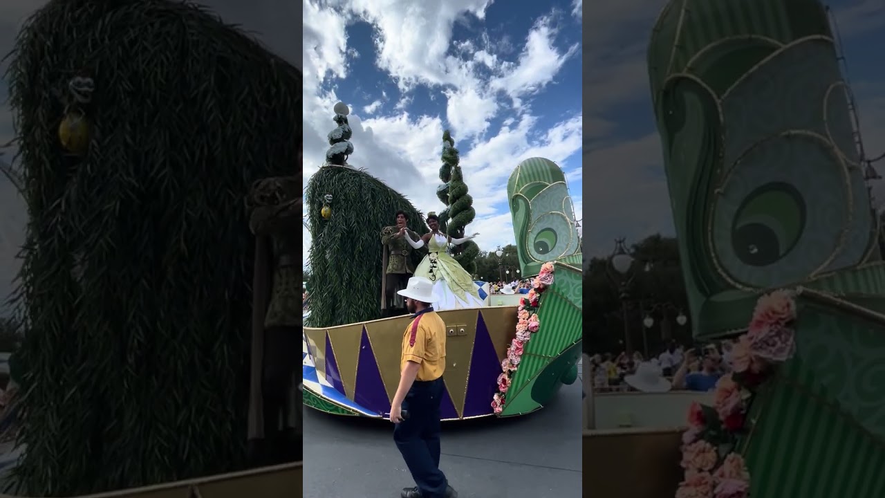 Festival of Fantasy Parade #disney #disneyparks #magickingdom #disneyworld #parade