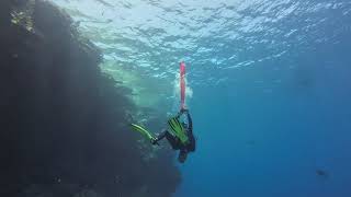 Scuba diving Ras Mohammed, Sharm El Sheikh, Egypt 2023