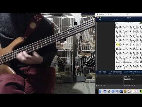 Tune up,etc/ Jazz Bass Practice/ireal pro