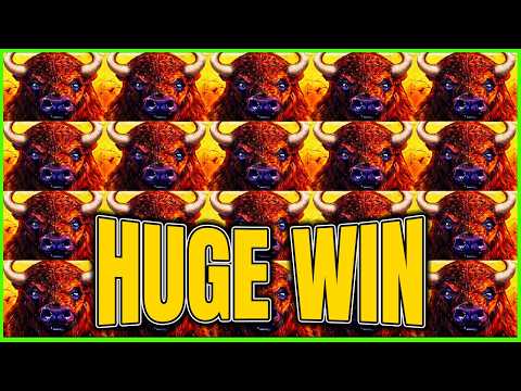 You Will Not Believe What This NON STOP Bonuses Paid! High Limit Buffalo Link