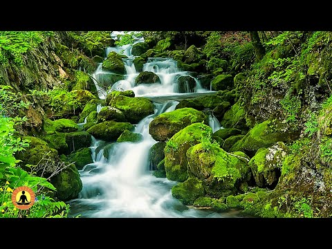 🔴 Relaxing Music 24/7, Stress Relief Music, Sleep Music, Meditation Music, Study, Calming Music