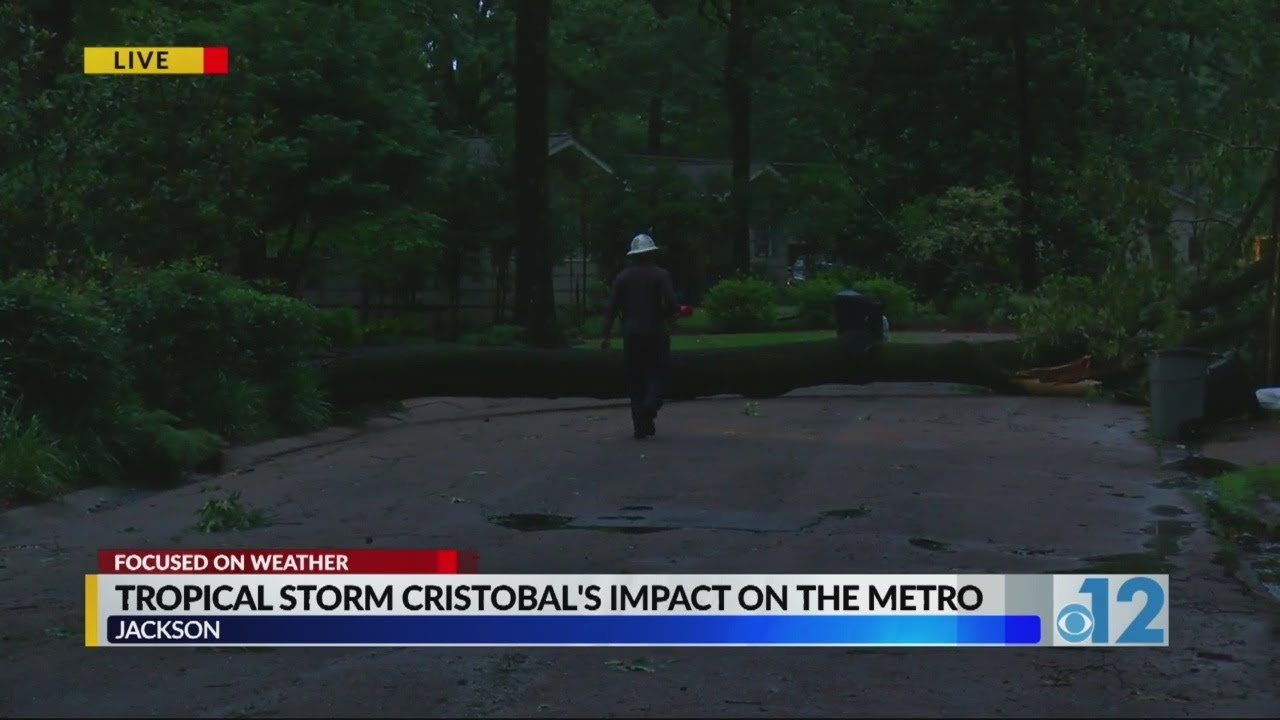 Cristobal causes power outages in Jacksonmetro area YouTube