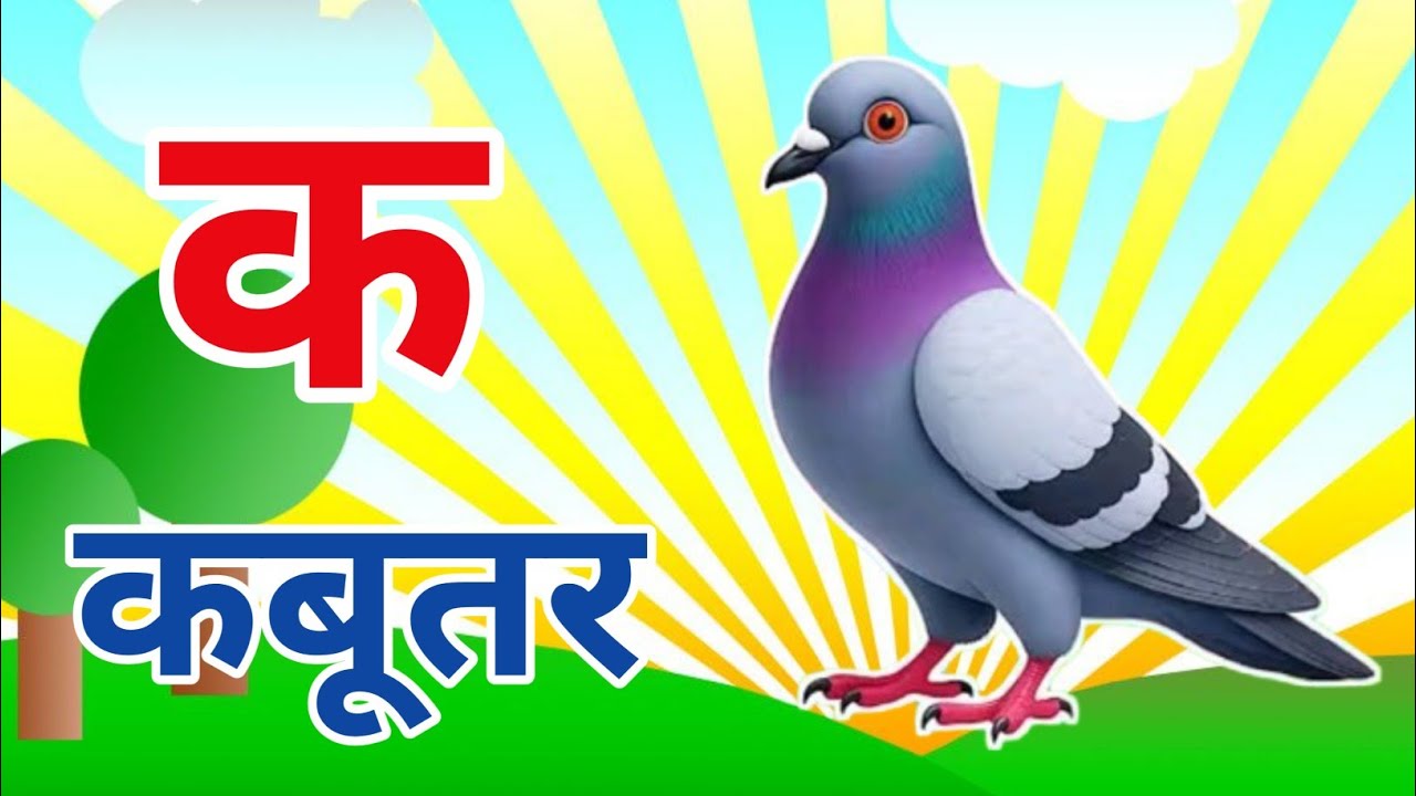 क से कबूतर| अ से अनार| Ka Se kabutar,a se anar| Hindi varnmala|Alphabet For kids,ABCD| Nityatv1 