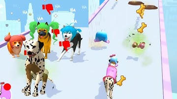 Groomer Run 3D 🐮👚🐕 All Levels Gameplay ( android, iOS ) #shorts