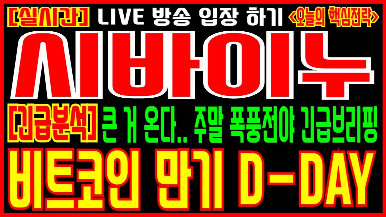 시바이누 주말긴급분석] 큰 거 온다.. 주말 폭풍전야 긴급 브리핑 비트코인 만기 D-DAY - YouTube