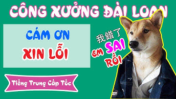 Bài 3: Cám ơn, xin lỗi và 1 số mẫu cơ cơ bản | Tiếng Trung cấp tốc