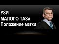 УЗИ органов малого таза: положения матки