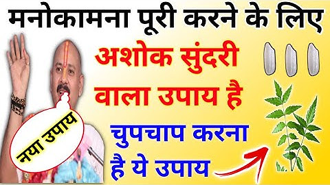 मनोकामना होगी पूरी बस एक बार में | Ashok sundari upay |  pradeep Mishra ji manokamna purti