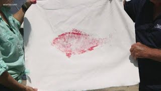 Fish Game Report Creating a gyotaku fish painting