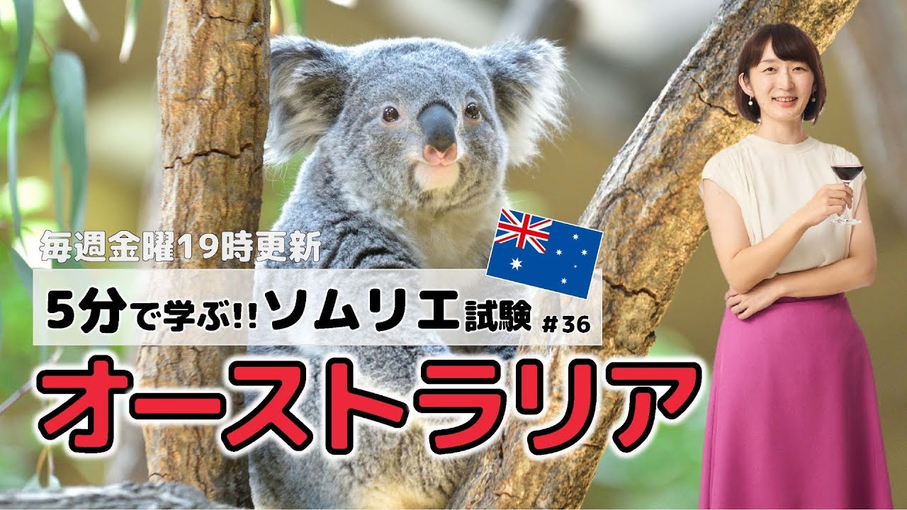 【ワインの知識】5分で学ぶソムリエ・ワインエキスパート試験　Part.36 オーストラリア