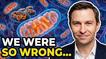 4 Foods To Make New Mitochondria (Scientific Proof) | Dr. David Sinclair