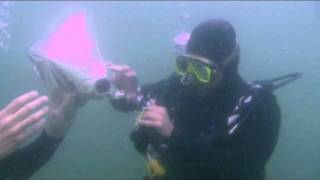 don´t drink and dive2