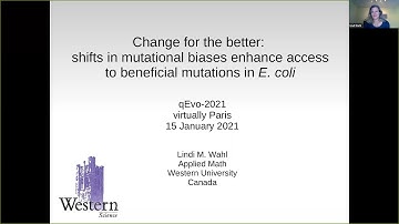 Change for the better: shifts in mutational biases enhance access to beneficial mutations in E. coli