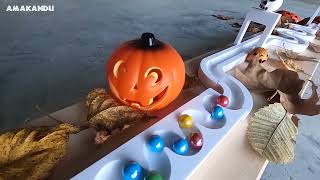 Colorful Marble Run With Halloween Pumpkins | ASMR